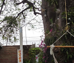 Ernesto's Good Grub photo