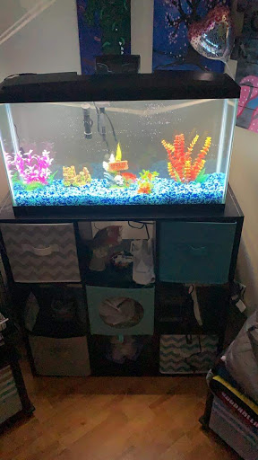 Pet Store «A Family Pet Center», reviews and photos, 6230 N Lockwood Ridge Rd, Sarasota, FL 34243, USA