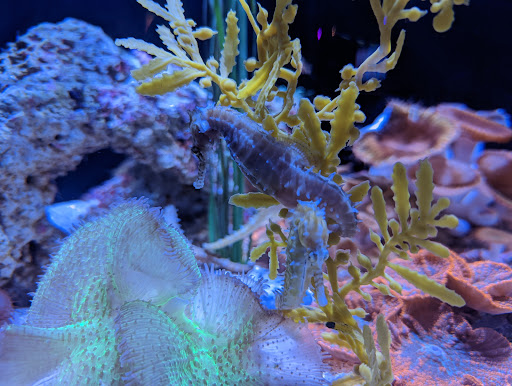 Shopping Mall «Newport on the Levee», reviews and photos, 1 Levee Way, Newport, KY 41071, USA