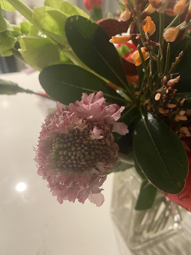 Florist «Hittle Floral Design», reviews and photos, 2049 E 226th St, Cicero, IN 46034, USA