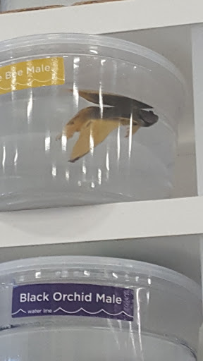 Pet Supply Store «Petco Animal Supplies», reviews and photos, 2255 East Ridge Road, Irondequoit, NY 14622, USA