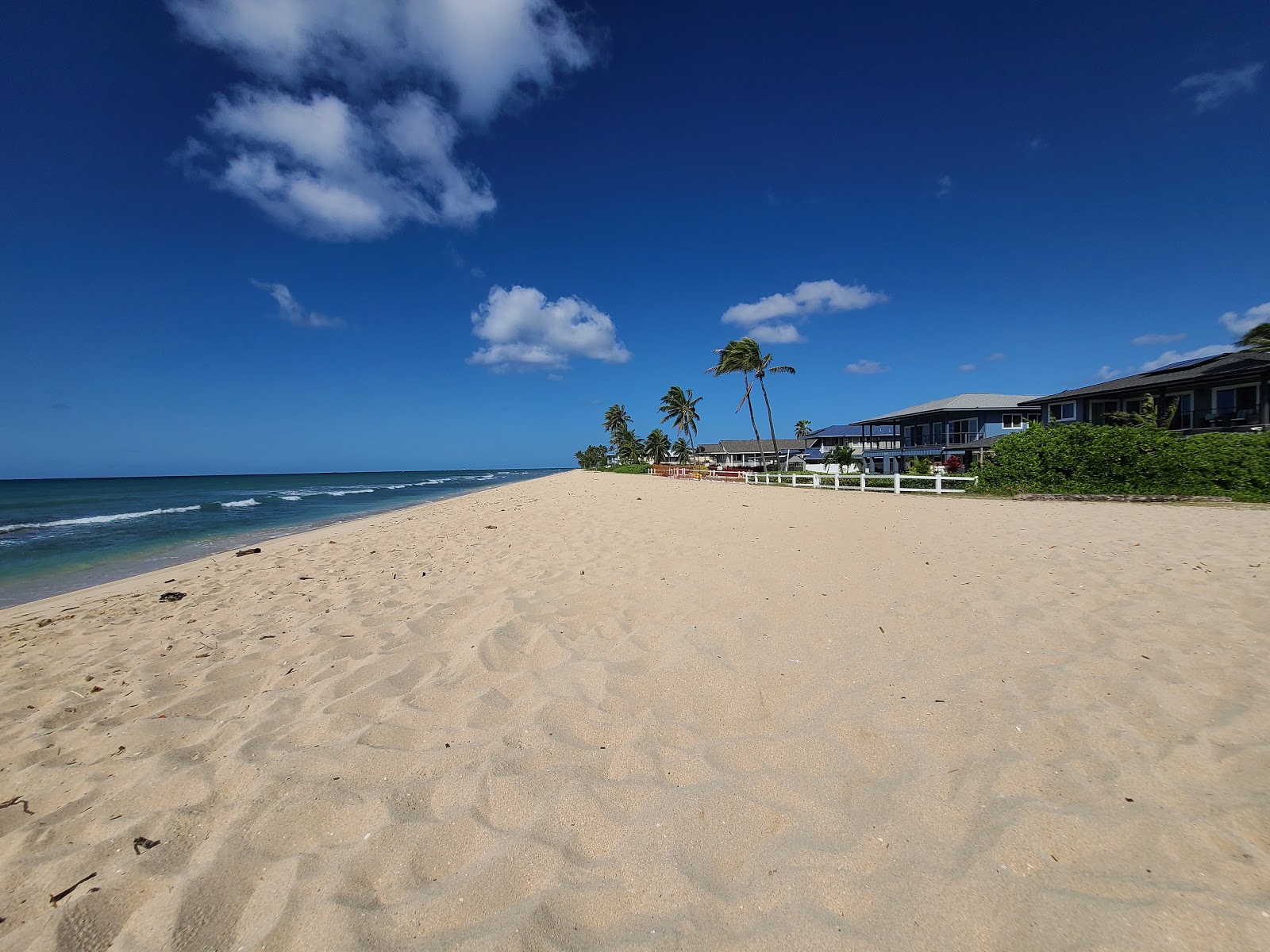 Foto van Pu'uloa Beach Park wilde omgeving