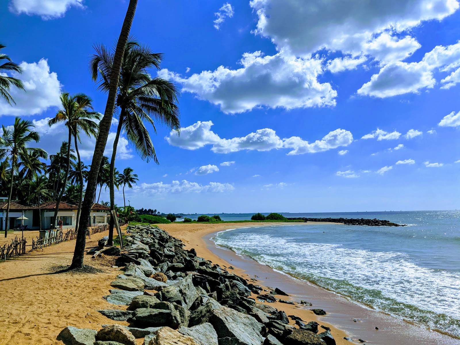 Dolphin hotel beach photo #9