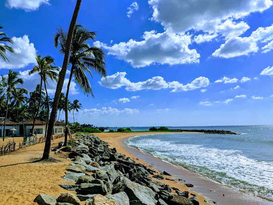 Dolphin hotel beach