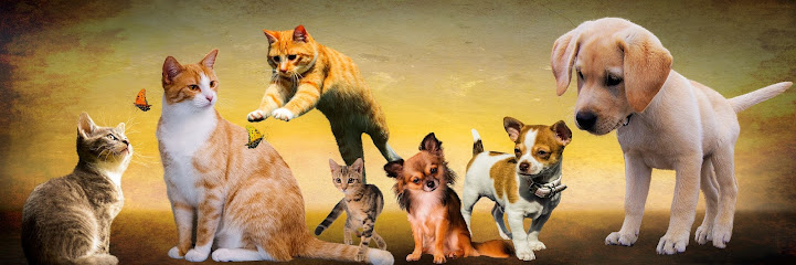 Állateledel Shop - Az állateledel webáruház