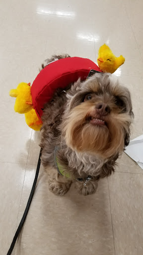 Pet Supply Store «Petco Animal Supplies», reviews and photos, 993 Branson Hills Pkwy, Branson, MO 65616, USA