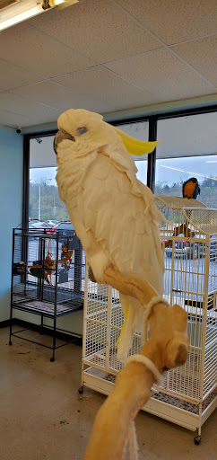 Pet Store «Exotics & Aquatics», reviews and photos, 5423 Williamson Rd, Roanoke, VA 24012, USA