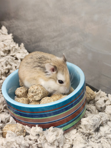 Pet Supply Store «Petco Animal Supplies», reviews and photos, 1255 Raritan Rd #140, Clark, NJ 07066, USA