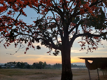 ที่ว่าการอำเภอแม่อาย