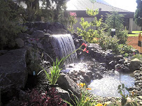 Cutting Edge Landscape & Design - Photo 5 - Car repair in Eugene, OR, Eugene