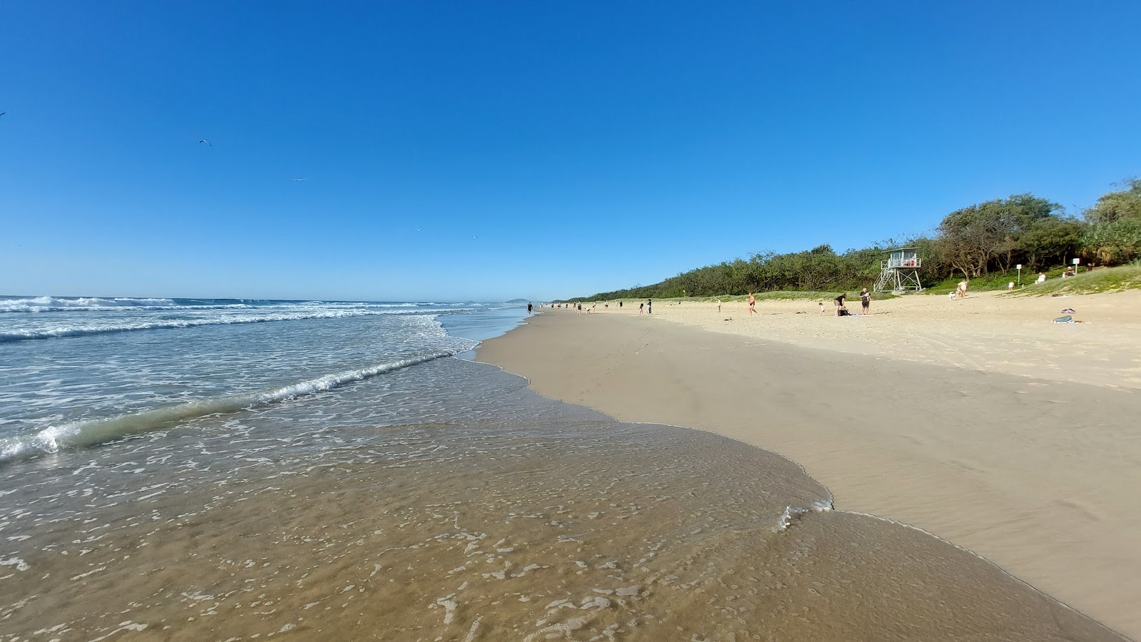 Foto van South Kingscliff Beach met helder fijn zand oppervlakte