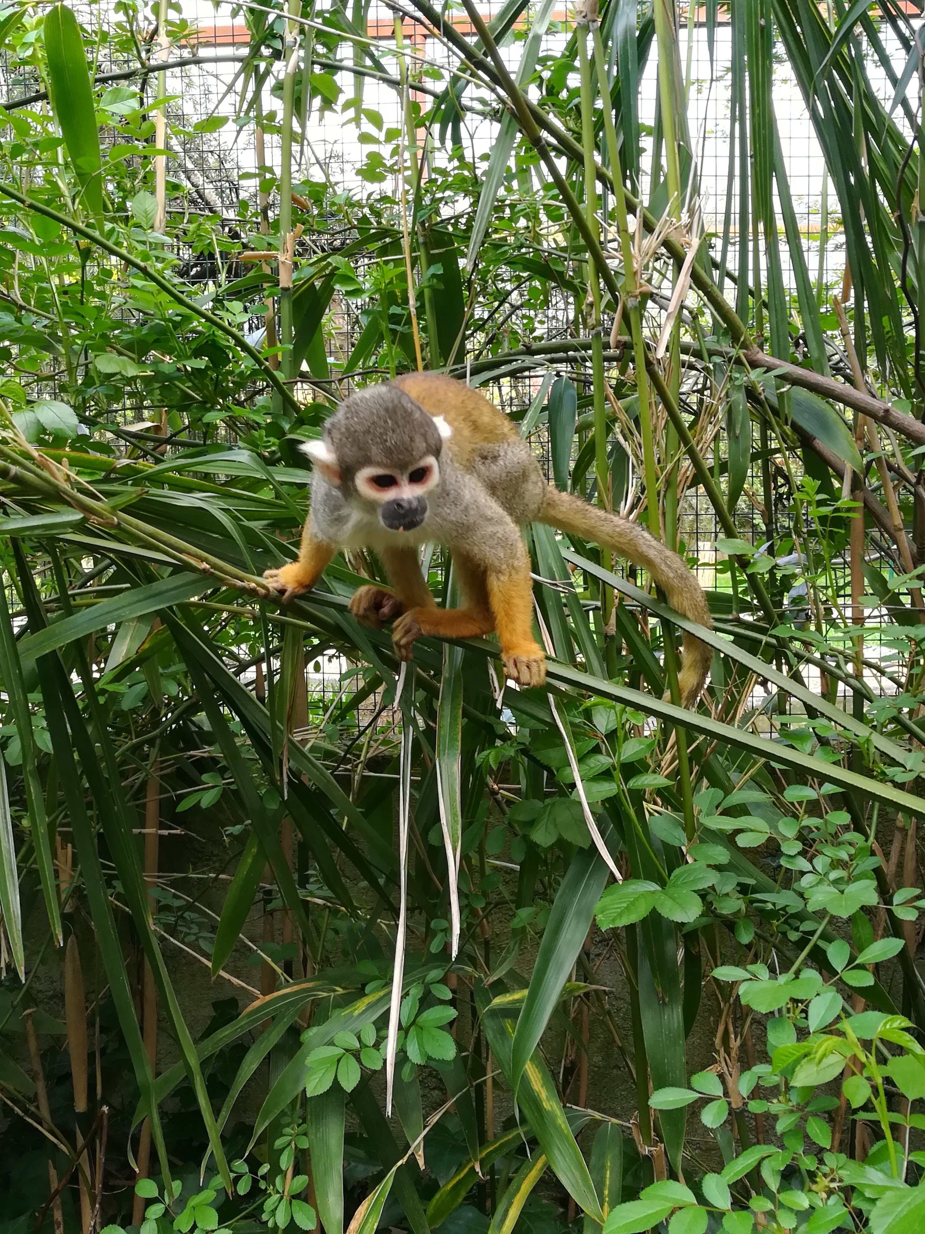 Photo n° 8 de l'avis de Sarah.L fait le 21/04/2018 à 18:44
