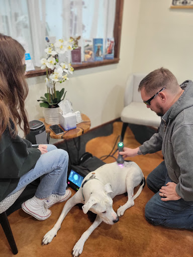 Massie Equine Veterinary Clinic & Healing Center image