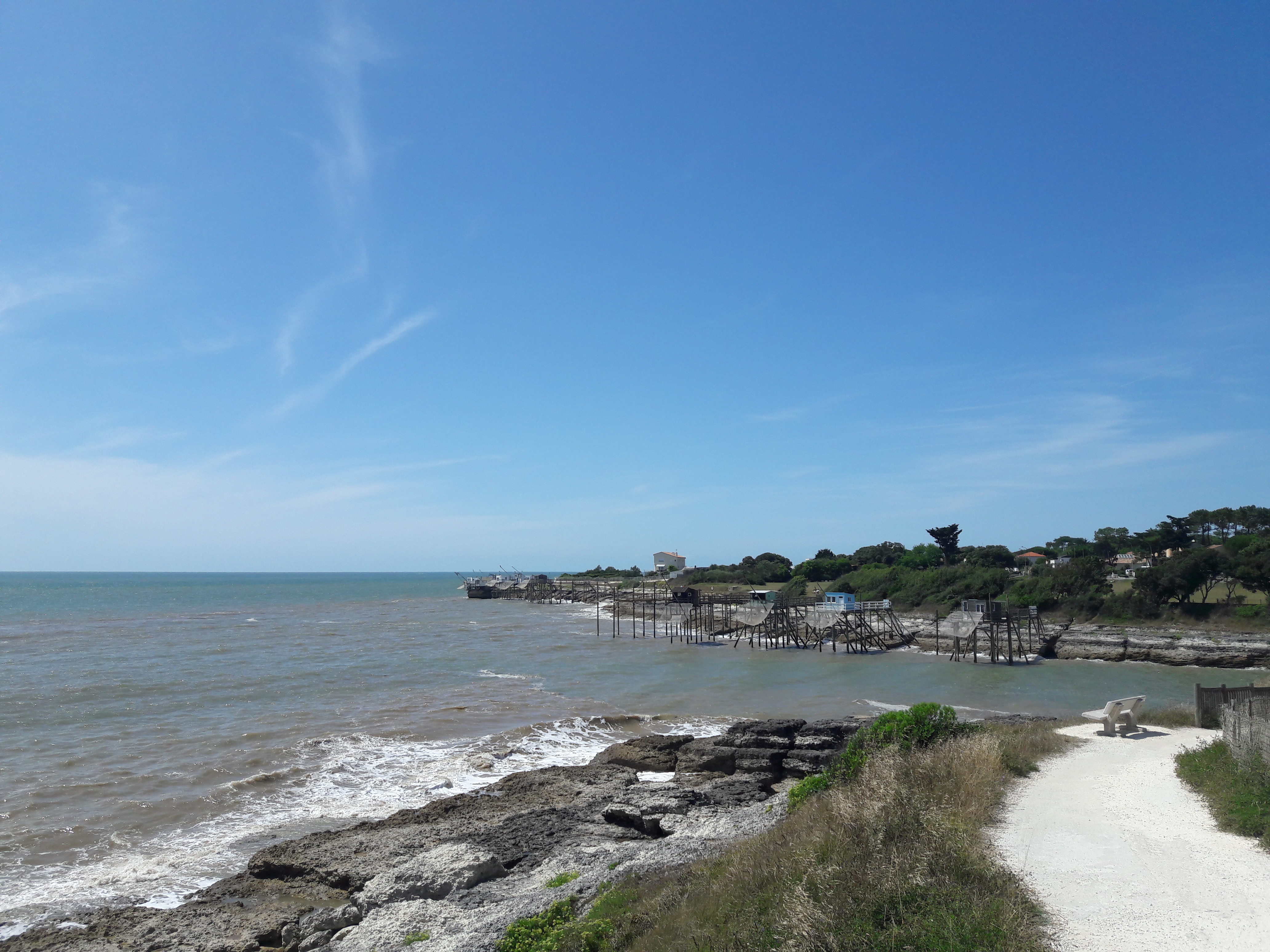 Photo n° 3 de l'avis de doud.6 fait le 01/08/2019 à 14:54