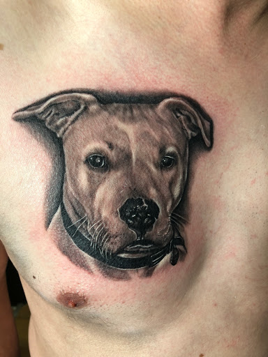 Explore quarter tattoo sleeve ideas, creative tattoo ideas in Milford, available at Inkhouse 203