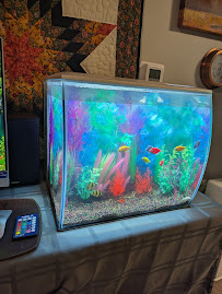 AquaCave.com - Photo 6 - Car repair in Lake Forest, IL, Round Lake Beach