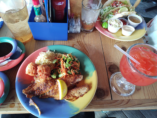 Pet Store «Petland Pensacola», reviews and photos, 6235 N Davis Hwy, Pensacola, FL 32504, USA