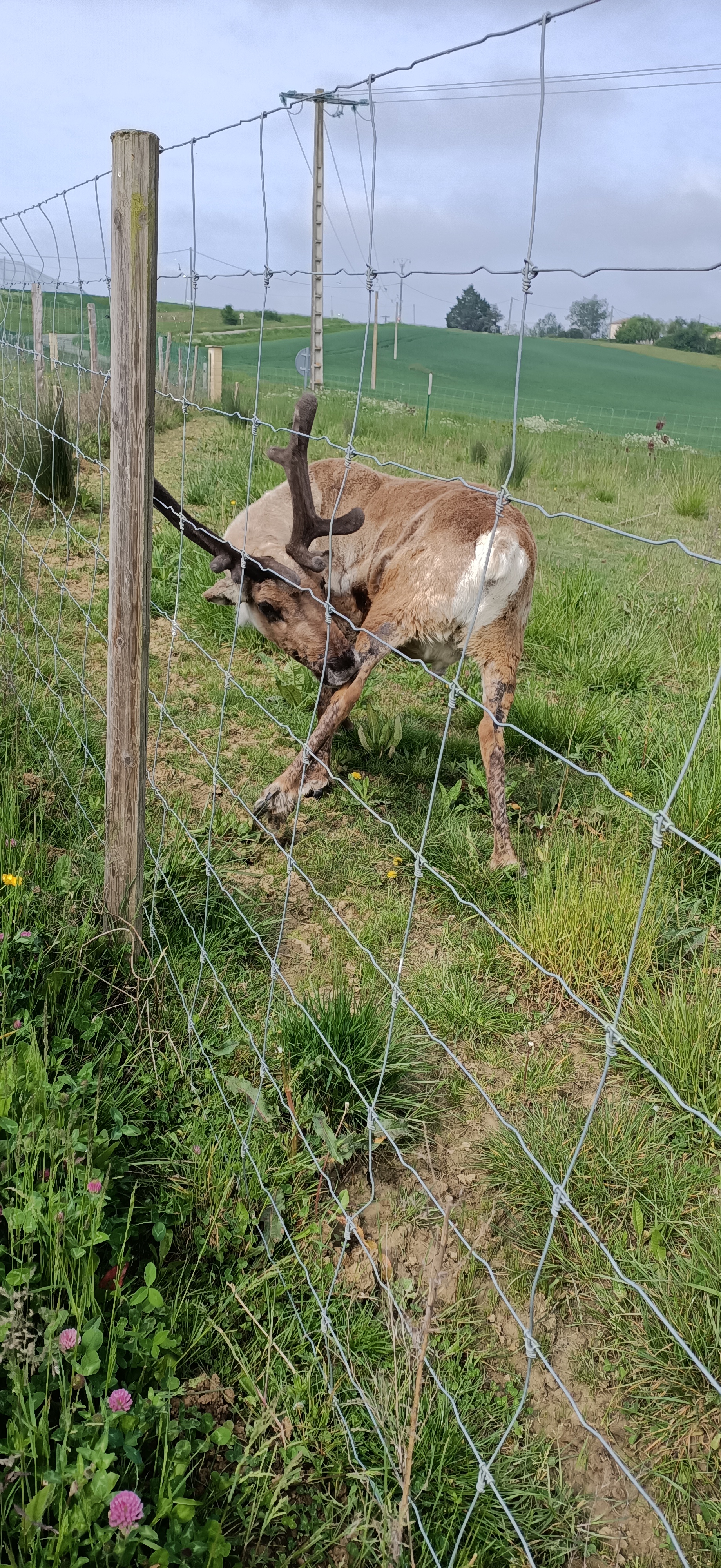 Photo n° 6 de l'avis de Estelle.a fait le 01/05/2022 à 13:25