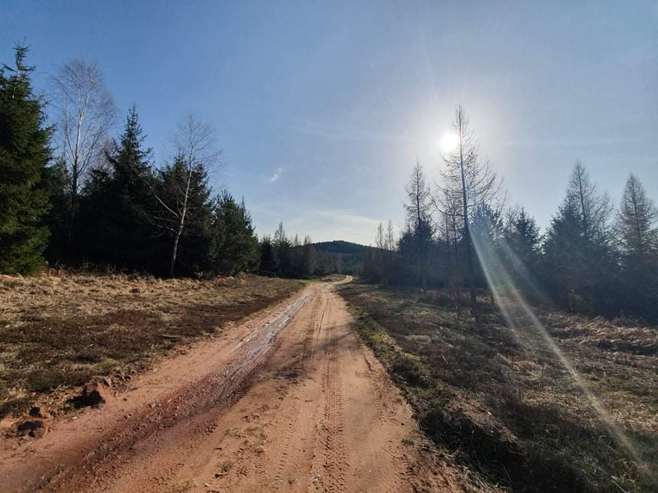 Photo n° 10 de l'avis de Magalie.a fait le 10/02/2020 à 19:38