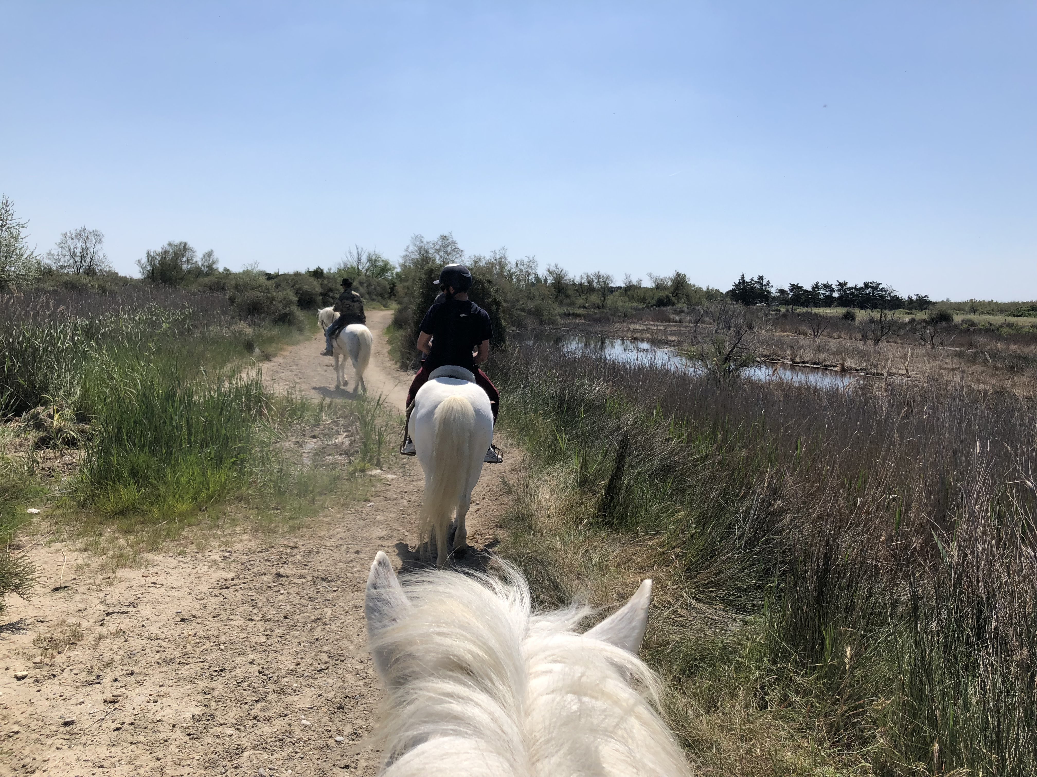 Photo n° 1 de l'avis de Cécile.u fait le 08/05/2019 à 13:15