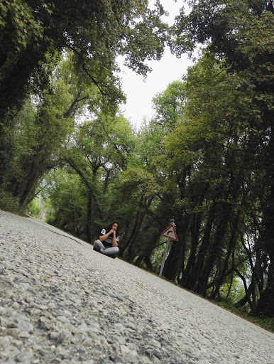 Günay Arslan Narenciye Bahçesi