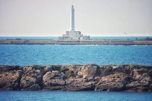 Faro dell'Isola di Sant'Andrea image