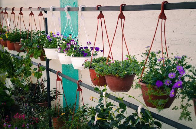 Opiniones de Vivero Minta en Los Andes - Centro de jardinería