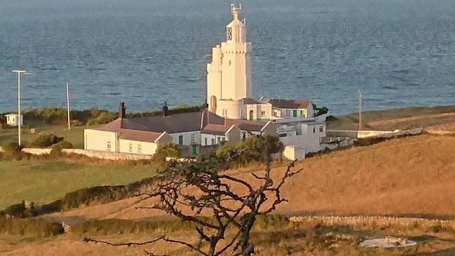 The Buddle Inn - Ventnor
