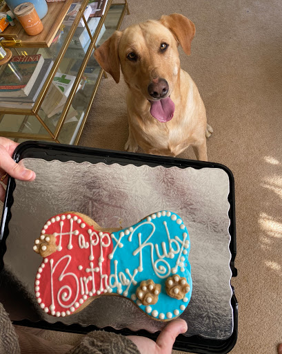 Charlottesville Dog Barkery