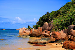 Anse Marie Louise Beach'in fotoğrafı doğal alan içinde bulunmaktadır