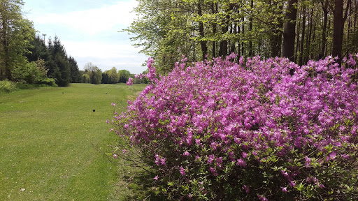 Golf Course «Walnut Run Golf Course», reviews and photos, 601 E Main St, Cortland, OH 44410, USA