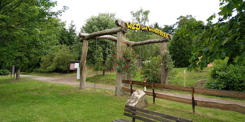 attractions Aussichtsturm zu Wildpark Weiskirchen am großen Gehege Weiskirchen