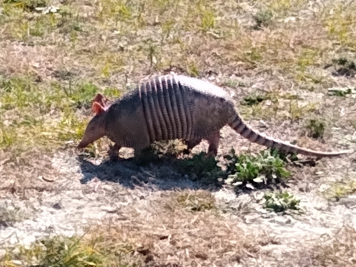 National Park «Fort Pickens», reviews and photos, 1400 Fort Pickens Rd, Pensacola Beach, FL 32561, USA