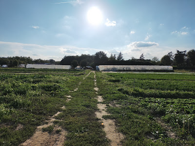 Les Jardins de Lucie à Communay