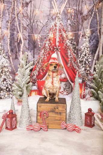 Pet Supply Store «EarthWise Pet Supply», reviews and photos, 7316 Yankee Rd, Liberty Township, OH 45044, USA