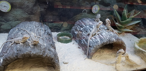 Pet Supply Store «Petco Animal Supplies», reviews and photos, 801 W Lake Ave, Peoria, IL 61614, USA