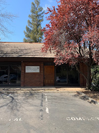 Spring Physical Therapy