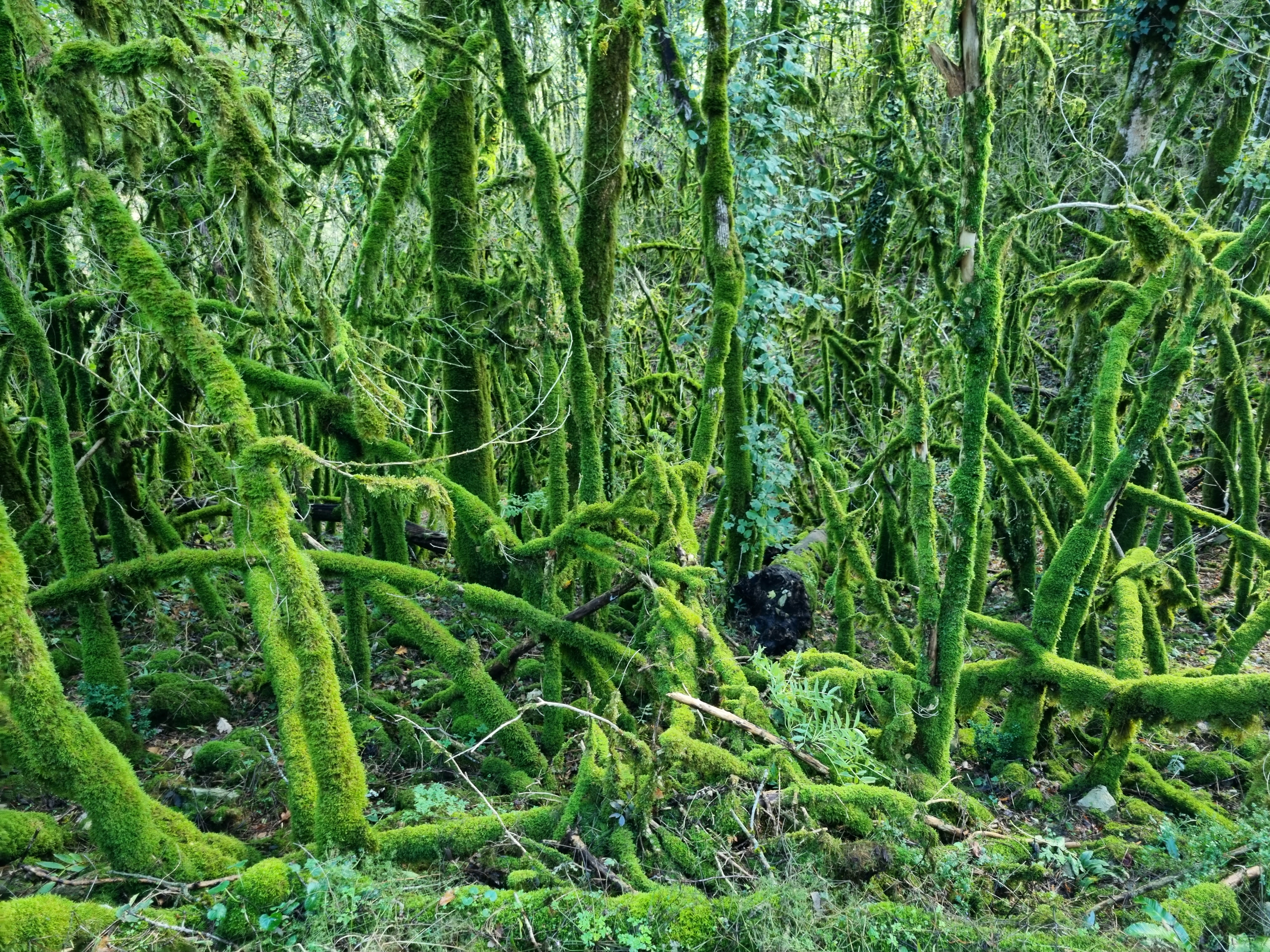 Photo n° 2 de l'avis de Jérémy.e fait le 31/10/2023 à 13:44