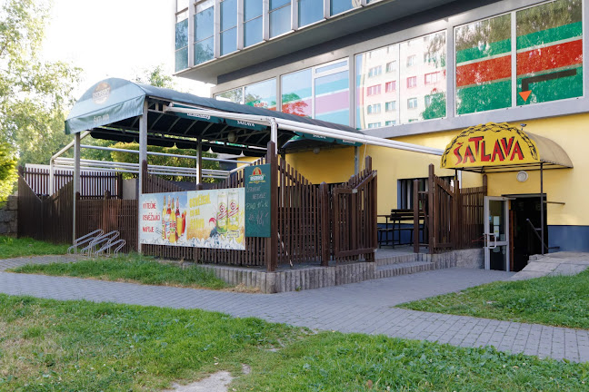 Recenze na Restaurace ŠATLAVA v Havířov - Restaurace
