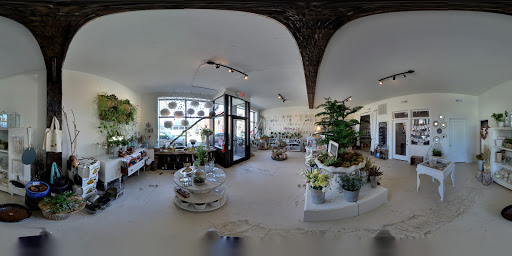 Florist «Flora», reviews and photos, 428 Haywood Rd B, Asheville, NC 28806, USA