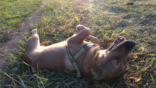 National Park «First State National Historical Park - Peters Rock Parking», reviews and photos, Thompsons Bridge Rd, Wilmington, DE 19803, USA