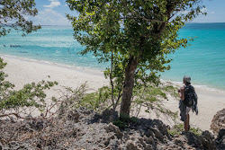 Blanca beach'in fotoğrafı vahşi alan