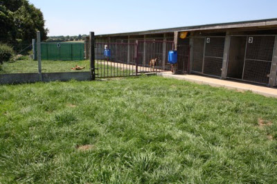 CEPJ - CENTRE TOILETTAGE & PENSION CHIEN JOSSELIN à Forges de Lanouée