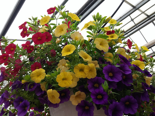 Produce Market «Didier Farms», reviews and photos, 16678 Aptakisic Rd, Lincolnshire, IL 60069, USA