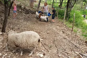 The Farm Tiavan image