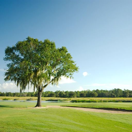 Golf Resort «ChampionsGate Golf Club», reviews and photos, 8575 White Shark Blvd, Davenport, FL 33896, USA