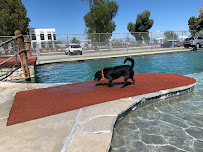 Country Kennels - Photo 9 - Car repair in Murrieta, CA, Murrieta