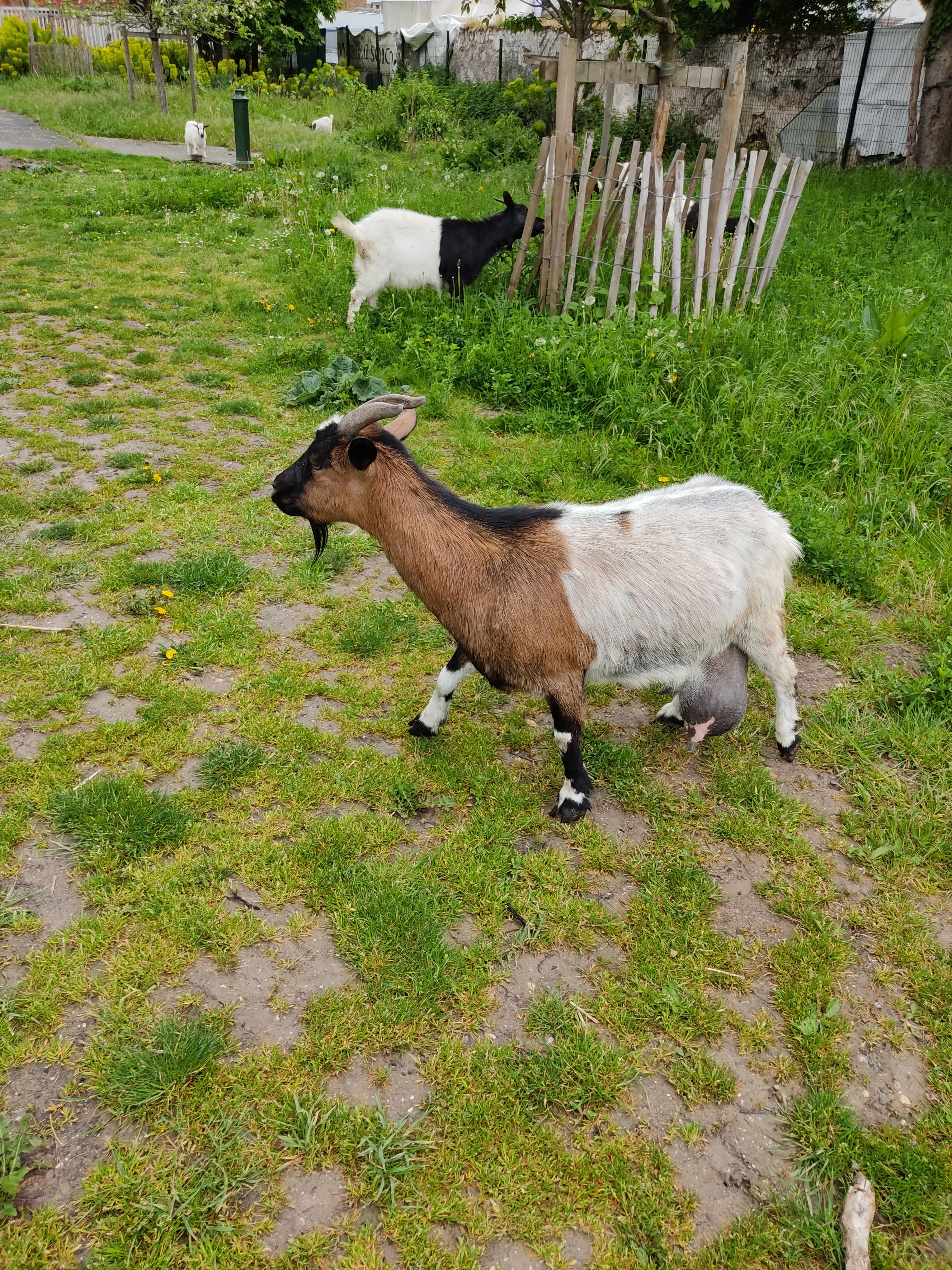 Photo n° 7 de l'avis de Sofaye.o fait le 15/05/2021 à 14:30