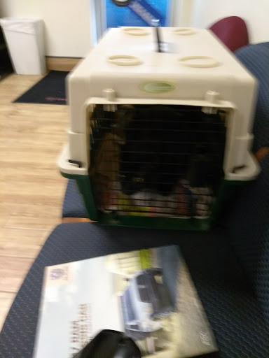 Dodge Dealer «Benny Boyd Lampasas Chrysler Dodge Jeep Ram», reviews and photos, 601 N Key Ave, Lampasas, TX 76550, USA