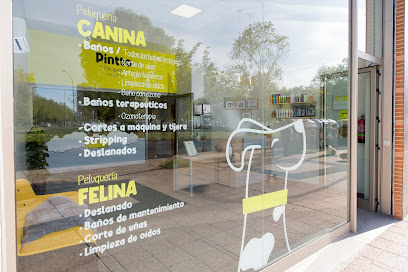 PINTTO PELUQUERIA CANINA - Servicios para mascota en Vitoria-Gasteiz